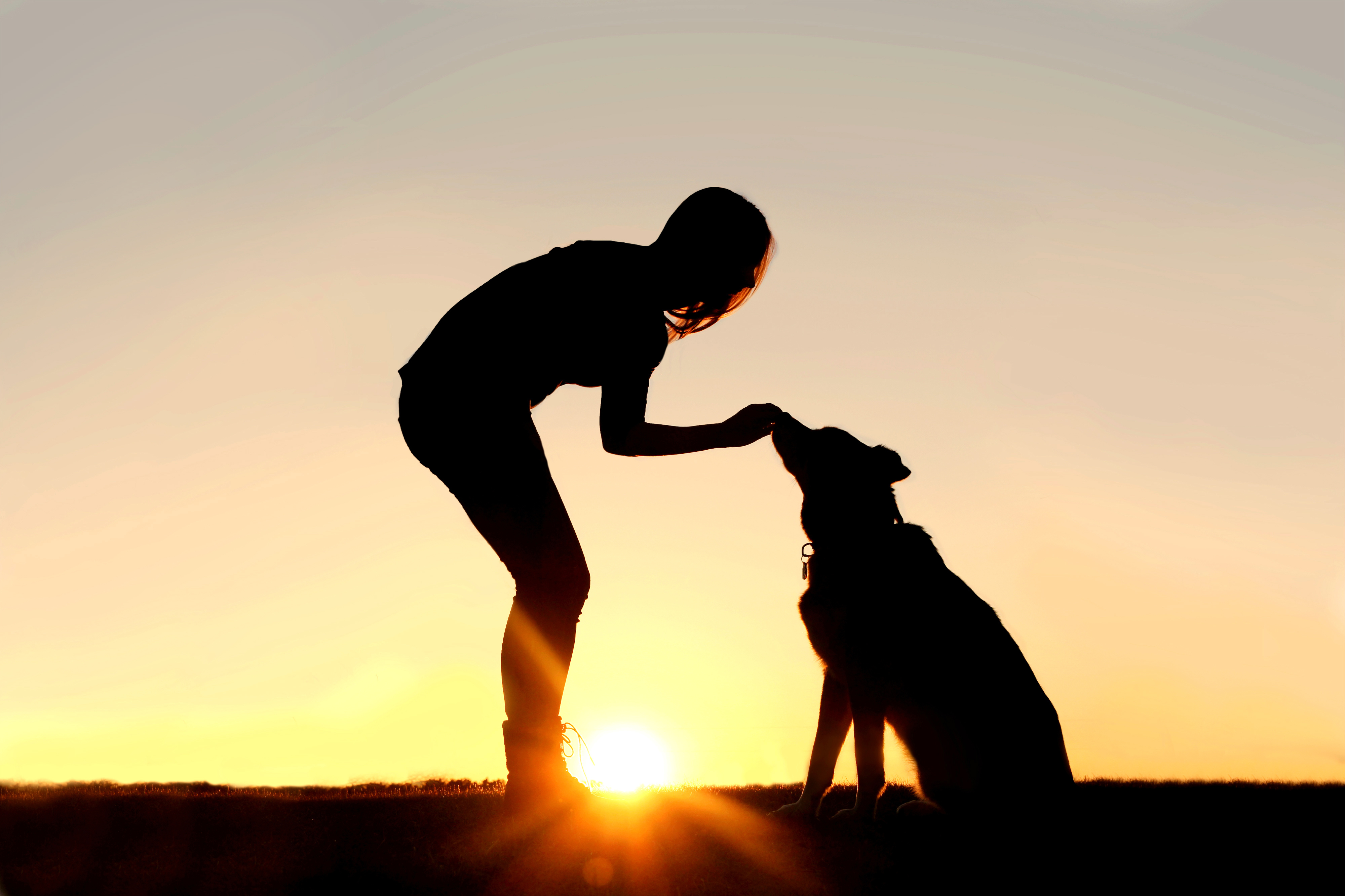 Woman Feeding Pet Dog Treats Silhouette